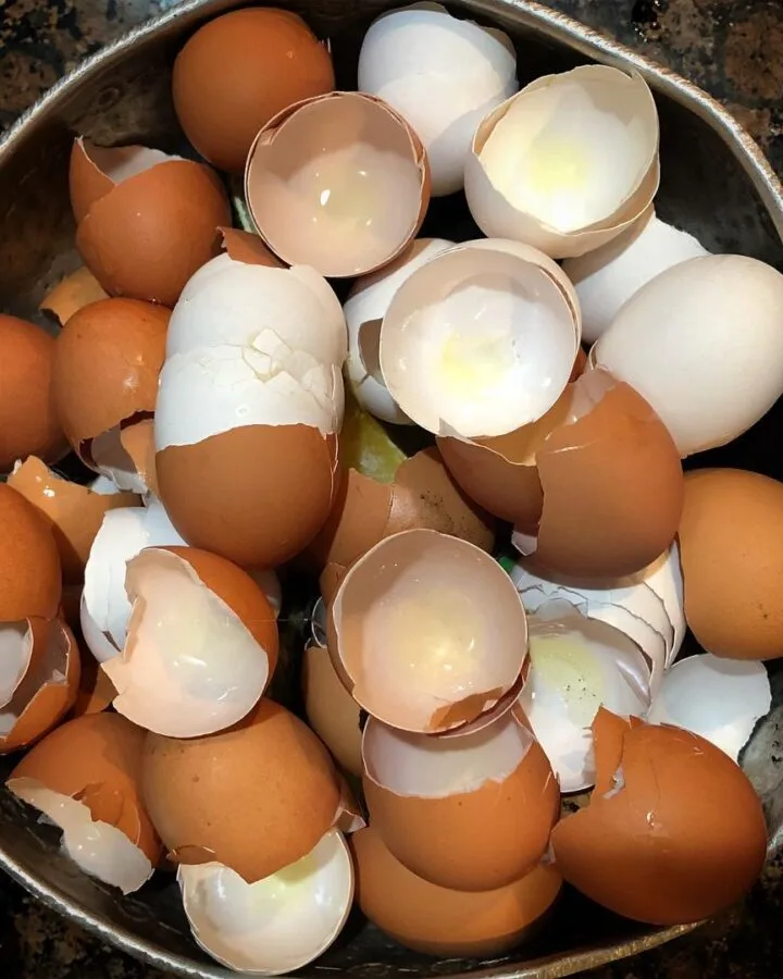 cracked eggshells in container