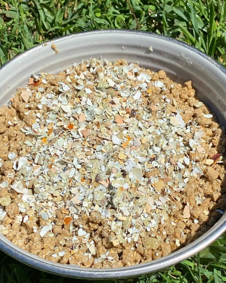 homemade quail feed in container
