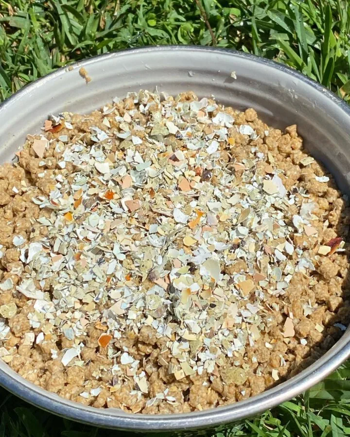 homemade quail feed in container