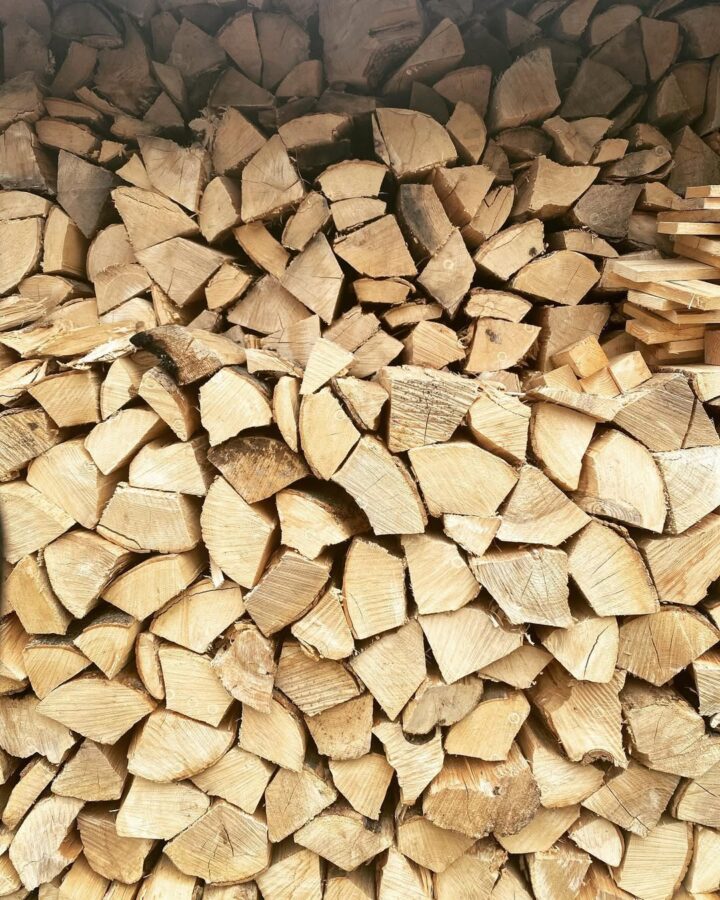 stored firewood nicely