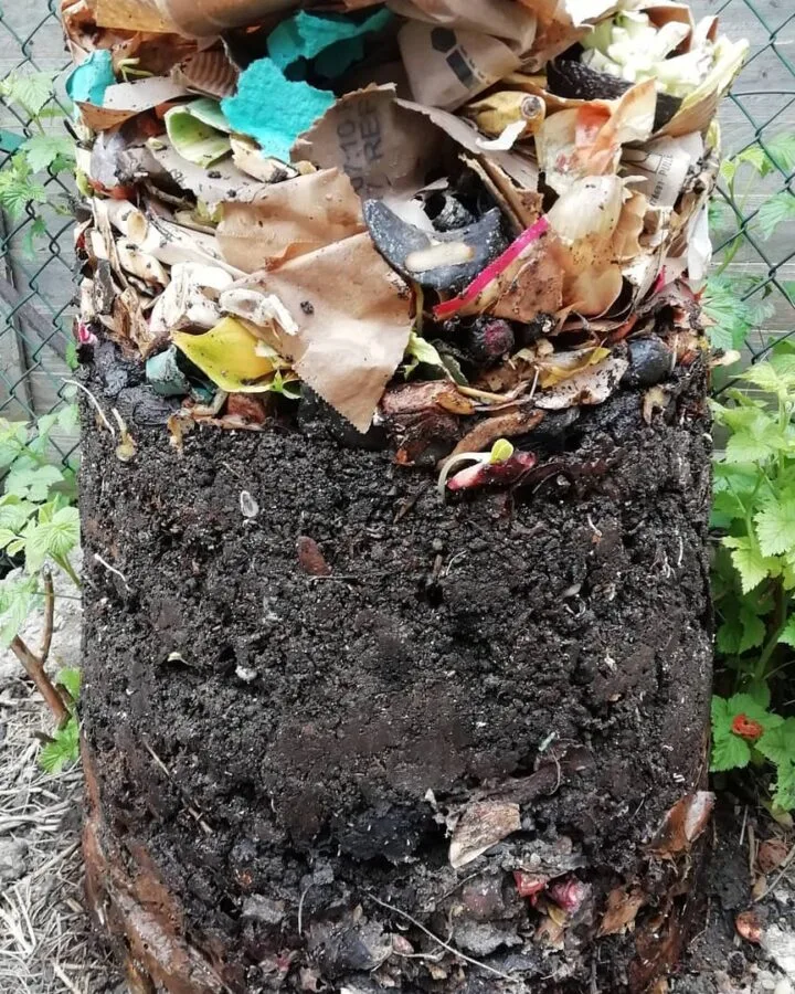 cold composting at homestead