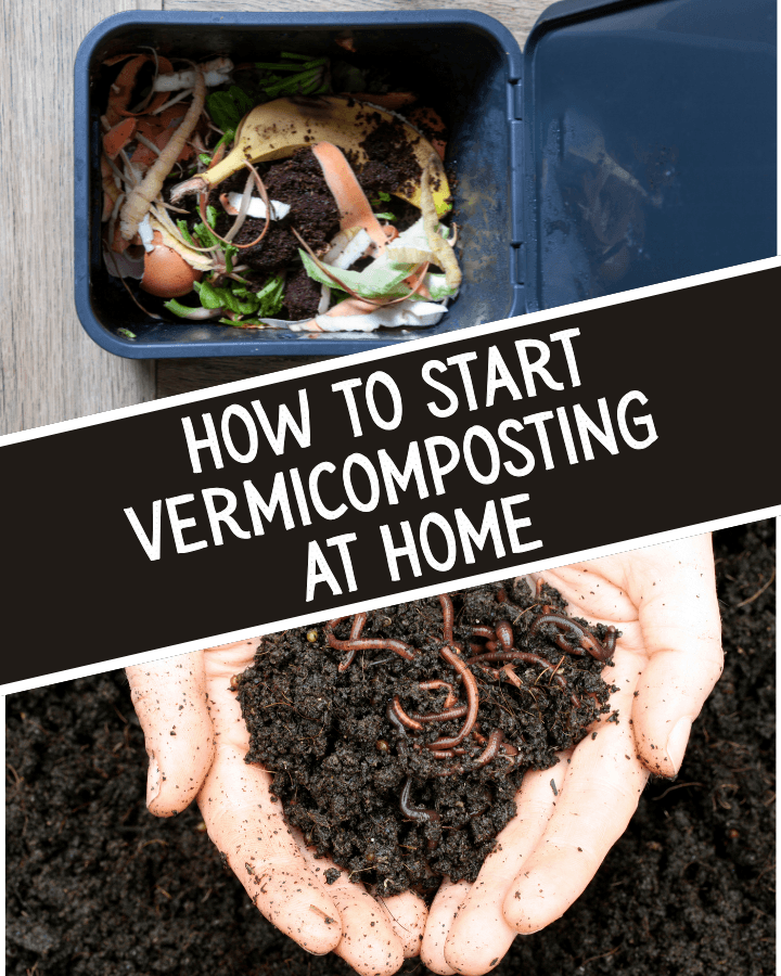 vermicomposting at home