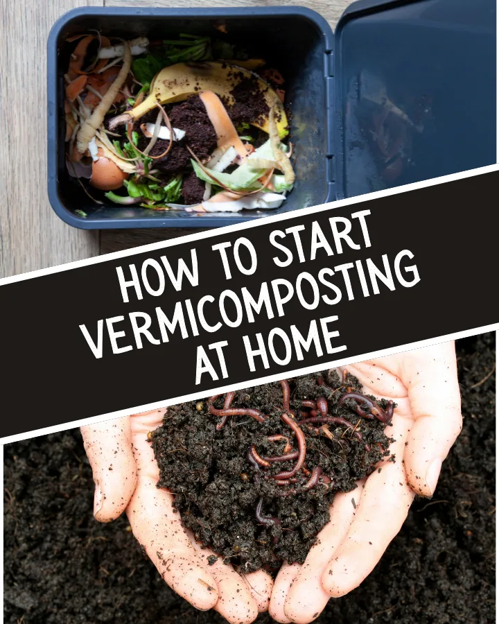 vermicomposting at home