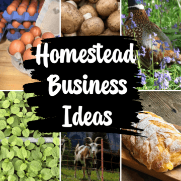 homestead business ideas